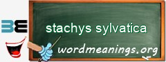 WordMeaning blackboard for stachys sylvatica